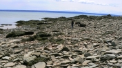 PICTURES/New Brunswick - Cape Enrage/t_Sharon On Beach2.JPG